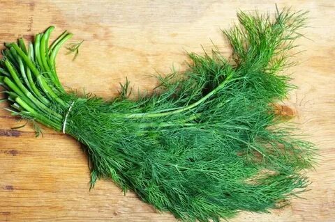 قیمت باور نکردنی سبزی شوید خشک صادراتی + فروش عمده